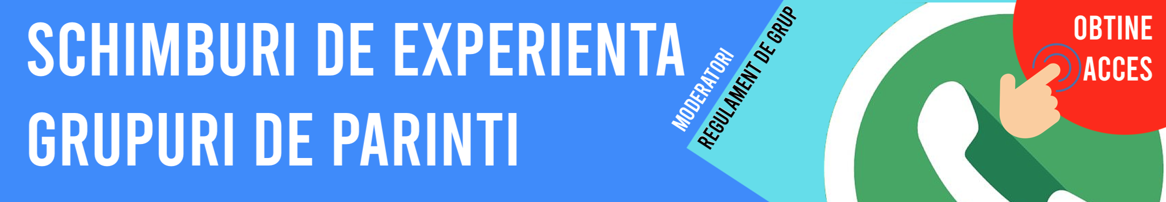 schimb de experienta parinti